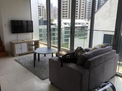 Stellar RV (D10), Apartment #503464471